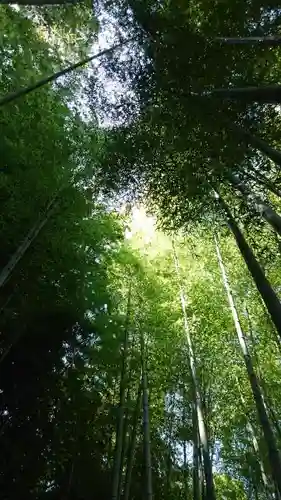 明月院の建物その他