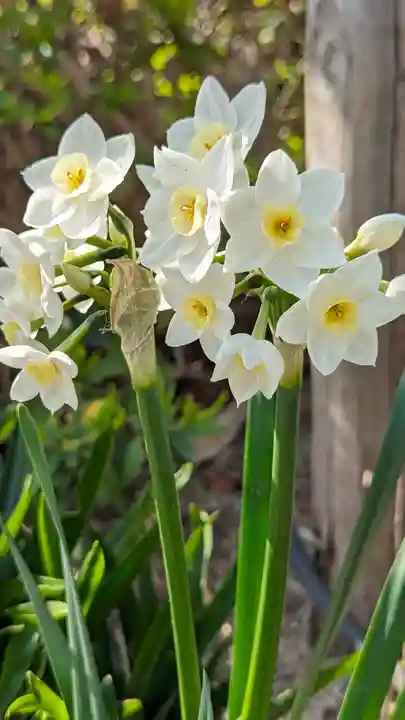 後白河院御聖蹟 法住寺(京都府)
