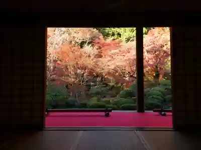 金剛輪寺(滋賀県)