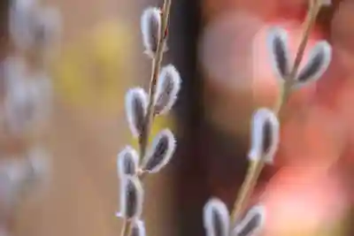 滑川神社 - 仕事と子どもの守り神の授与品その他