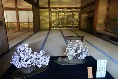 仁和寺(京都府)