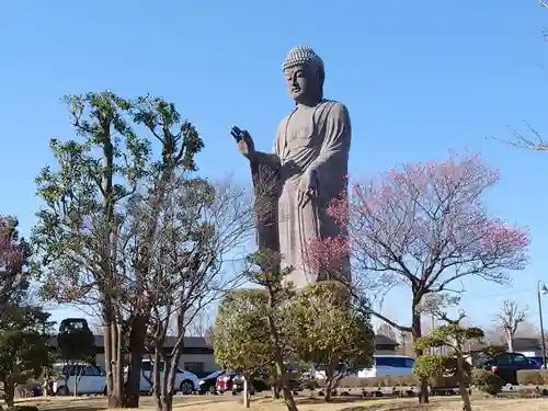 東本願寺本廟 牛久浄苑（牛久大仏）の仏像