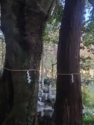 龍の入不動尊(東京都)