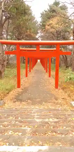 札幌伏見稲荷神社の鳥居