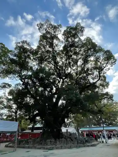 宇美八幡宮の自然