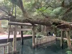 鹿島神宮(茨城県)