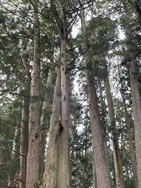 清高稲荷社の自然