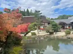 永保寺(岐阜県)