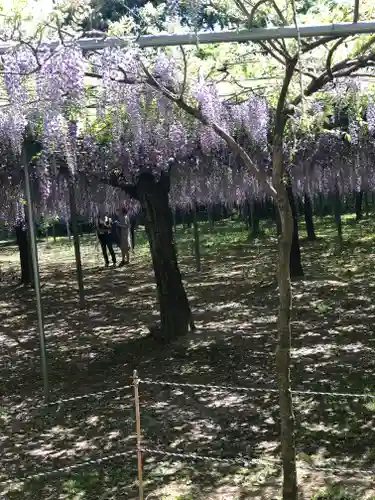 和気神社の庭園