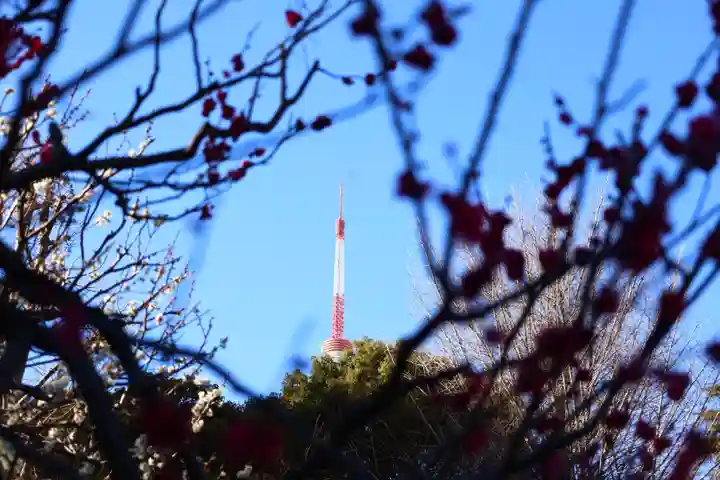 増上寺塔頭 三縁山 宝珠院(東京都)