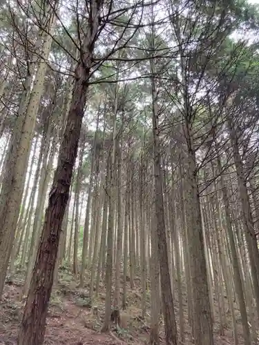 河上神社の周辺