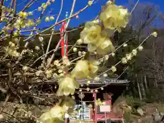 清水寺の自然