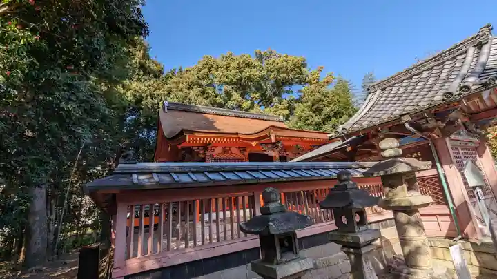 雙栗神社(京都府)