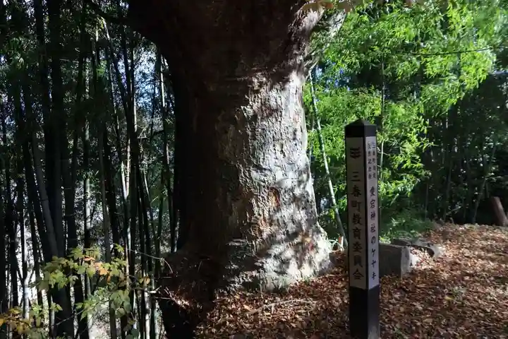 愛宕神社の自然