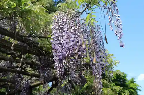 神炊館神社 ⁂奥州須賀川総鎮守⁂の庭園