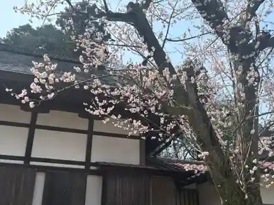 瑞源寺(福井県)