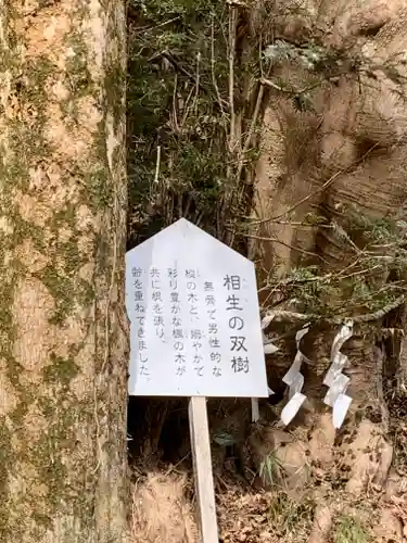 青麻神社(宮城県)