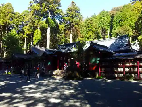 箱根神社の本殿・本堂