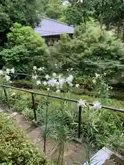 法華寺(神奈川県)