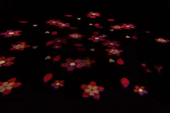 新城藤原神社(長野県)