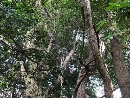 岩田寺の自然