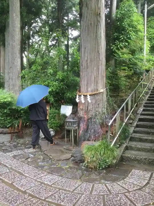 神場山神社(静岡県)