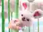 ぴょんさんのプロフィール画像