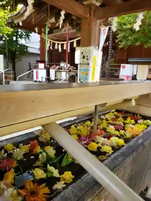 鳩森八幡神社の手水舎