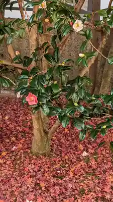相国寺（相国承天禅寺）(京都府)