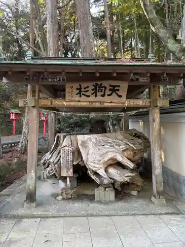 目の霊山　油山寺(静岡県)