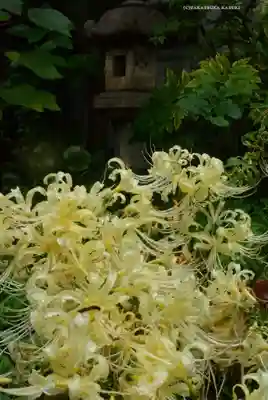 宝蔵院(東京都)