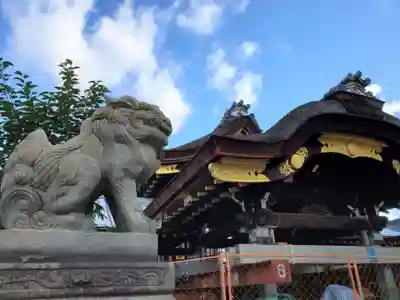 瀧尾神社の狛犬