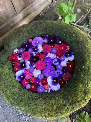 菅生神社の手水舎