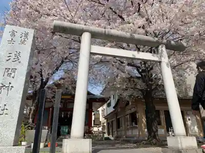 浅草富士浅間神社の鳥居