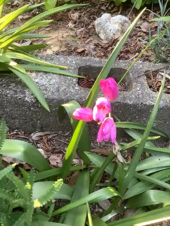 玉野御嶽神社の自然