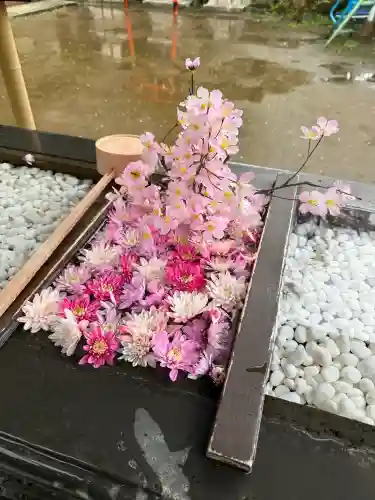 根岸八幡神社の{uncategorized: "未分類", other: "その他", undefined: "問題あり", building: "その他建物", grave: "お墓", sacred_gate: "鳥居", guardian: "狛犬", statue: "像", buddha: "仏像", history: "歴史", nature: "自然", garden: "庭園", animal: "動物", pagoda: "塔", temizu: "手水舎", mountain_gate: "山門・神門", sanctuary: "本殿・本堂", subordinate: "末社・摂社", art: "芸術", scenery: "景色", jizo: "地蔵", ema: "絵馬", goshuin: "御朱印", omikuji: "おみくじ", items: "授与品その他", amulet: "お守り", goshuincho: "御朱印帳", eats: "食事", festival: "お祭り", votive_dance: "神楽", shichigosan: "七五三参", wedding: "結婚式", experience: "体験その他", initially: "初詣", around: "周辺", anti_infection: "感染症対策"}