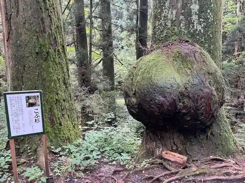 花園神社(茨城県)