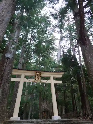 飛瀧神社（熊野那智大社別宮）(和歌山県)