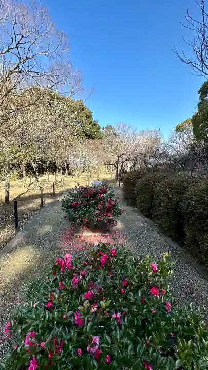 意賀美神社(大阪府)