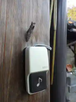 霊光殿天満宮の動物