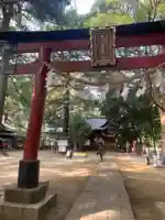 氷川女體神社(埼玉県)