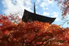 飛騨国分寺(岐阜県)