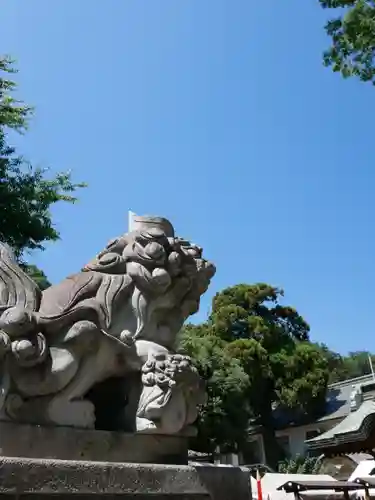 日枝神社水天宮の狛犬