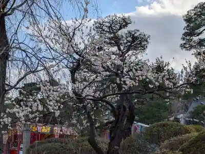 開成山大神宮(福島県)