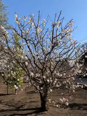 福蔵院(東京都)