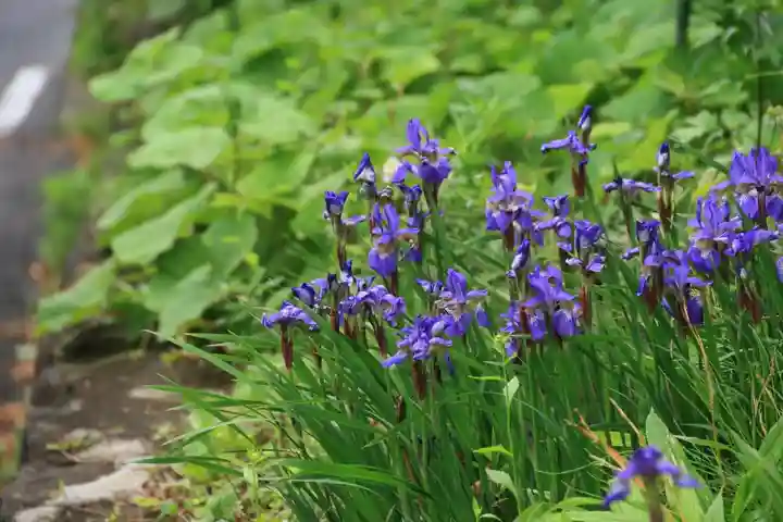 愛宕神社の自然
