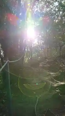 西寒多神社のその他建物