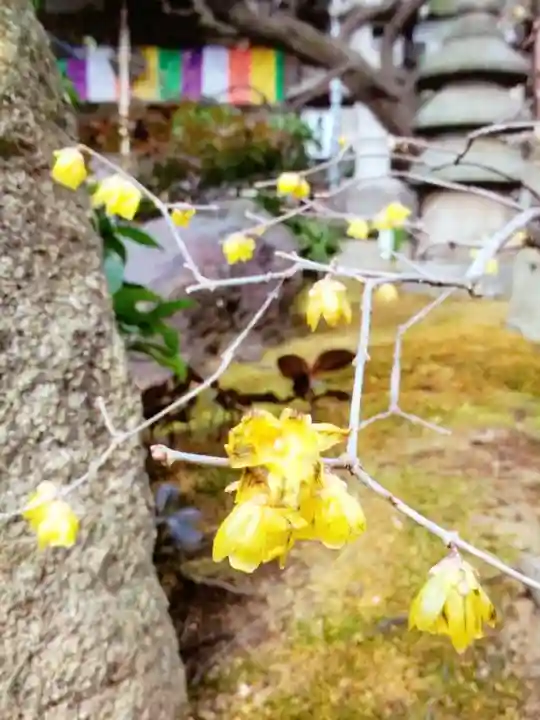 常性寺(東京都)