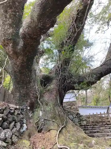 大水神社（皇大神宮摂社）・川相神社（皇大神宮末社）・熊淵神社（皇大神宮末社）(三重県)