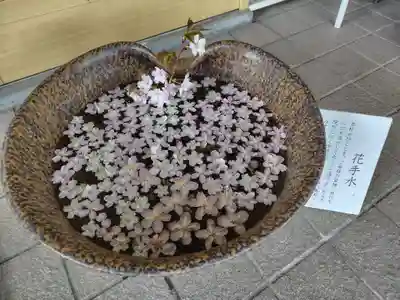 美瑛神社の手水舎